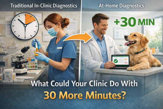 How At-Home Diagnostics Reduce 30 Minutes Per Appointment: A Breakdown for Busy Vet Clinics