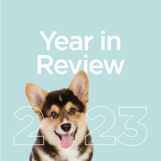 QSM Diagnostics - 2023 A Year in Review