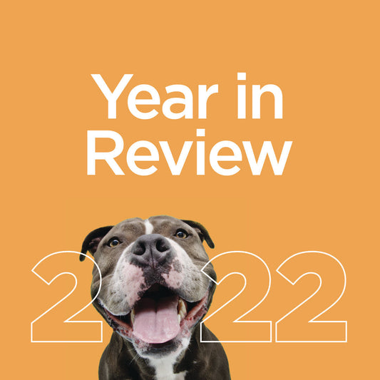 QSM Diagnostics - 2022 A Year in Review